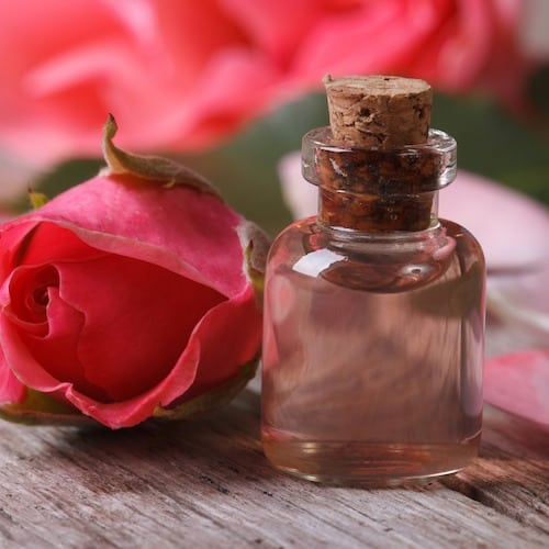 Diy rose oil online perfume