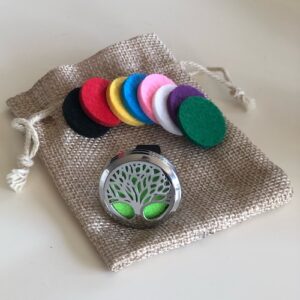 car air freshener with eight coloured pads