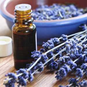 Dried lavender herb and essential aromatherapy oil