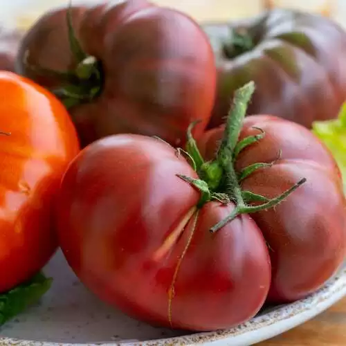 big raddish-purple heirloom tomatoes Black Krim on plate