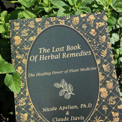 The Lost Book of Herbal Remedies with lemon balm