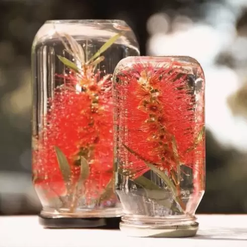 Christmas jars bottle brush