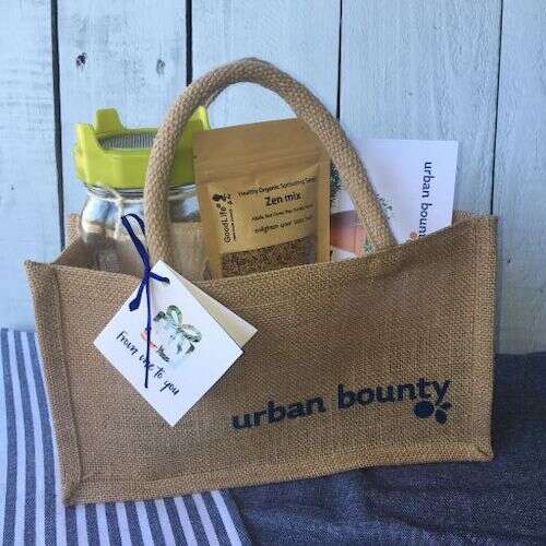 Urban Bounty Sprouting Kit Gift Bag
