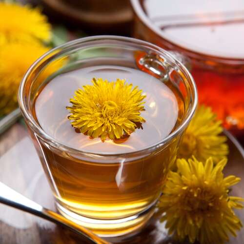 dandelion tea in tea cup with dandelion flowers