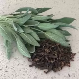 sage and clove foot powder