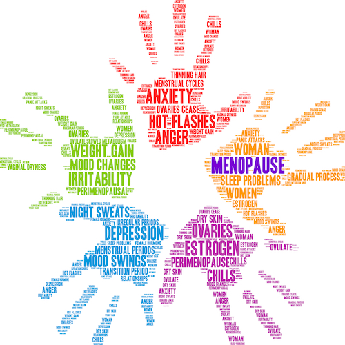 Perimenopause word cloud on a white background