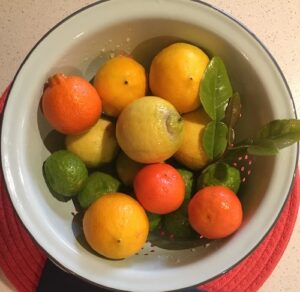 freshly picked citrus in a bowl