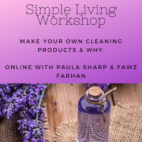 simple living workshop natural cleaning