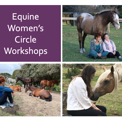 Dune Lakes Lodge equine womens circle workshops