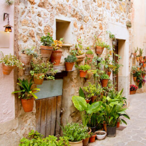 Wall garden with pots