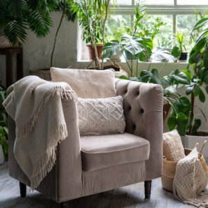 Comfortable armchair with cushion in living room with plants