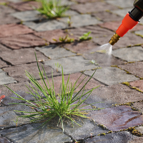 weed killer spray pavers