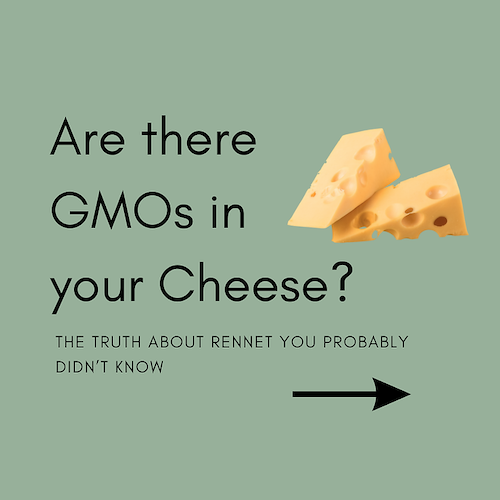 Is There GMO Rennet In Your Cheese?